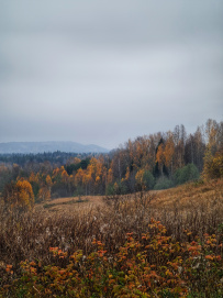 Гранатовые копи Карелии