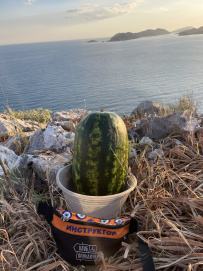 В Сердце Ликийской тропы (Поход вдоль моря, без рюкзаков)