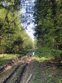 Хлюпай из Хлюпино