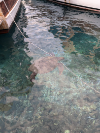 В Сердце Ликийской тропы (Поход вдоль моря, без рюкзаков)