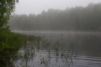 Сплав по реке Шуя