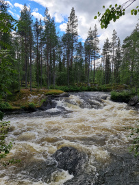 Сплав по реке Пистайоки (Писта)