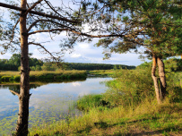 Сплав по реке Медведица с баней и автосопровождением