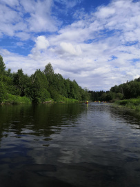 Оредеж — прогулка на байдарках (1 день)