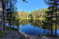 Сплав по реке Шуя