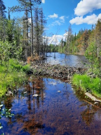 Крыша Карелии (национальный парк Паанаярви)