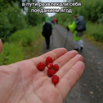 Гранатовые копи Карелии