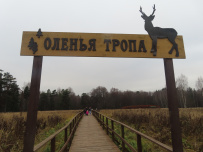 Пеший детский поход «В гости к лосям»