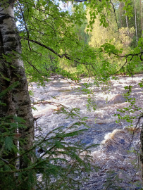 Сплав по реке Суна на байдарках