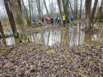 Дикое межсезонье