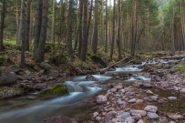 По дорогам древнего Кавказа (из Теберды в Архыз)