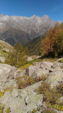 Горный лагерь в Дигории (Северная Осетия)