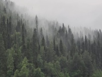 Крыша Карелии (национальный парк Паанаярви)