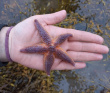Белое море на морских каяках (байдарках): Карельский берег
