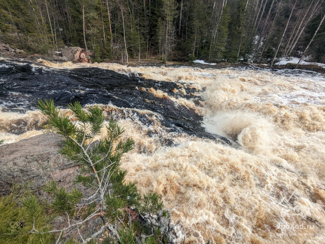 Майский экстрим, сплав по Шуе и Уксе