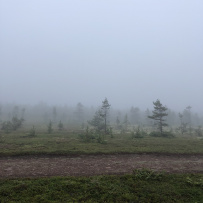 Аметистовый берег Белого моря