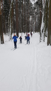 Лыжи: обучение коньковому ходу