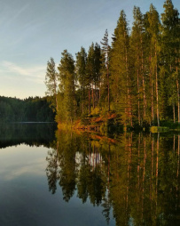 Сплав по реке Янисйоки
