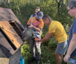 Пеший поход в междуречье Дубны и Волги