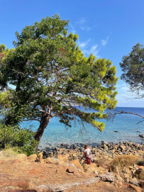 В Сердце Ликийской тропы (Поход вдоль моря, без рюкзаков)