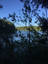 Сплав по реке Шуя