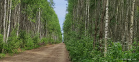 Велопоход в арт-парк Никола-Ленивец