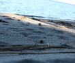 Колвица на морских каяках (байдарках). Путешествие на землю Саамов
