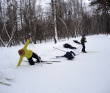 Лыжи: обучение коньковому ходу