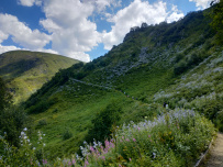 Бзерпинский карниз