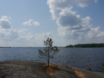 Водное ассорти с детьми: на лодках, байдарках, сапах