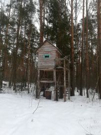 Лыжный поход через Мещёру с ночевкой в тёплом доме