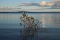 Колвица на морских каяках (байдарках). Путешествие на землю Саамов