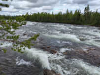 Сплав и рыбалка на Умбе(с выходом в Белое море). Рыболовный маршрут