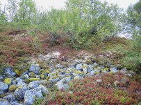 Колвица на морских каяках (байдарках). Путешествие на землю Саамов