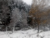 Горный лагерь в Домбае [Кавказ]