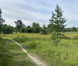 Поход на сапах по реке Нерская с ночевкой в палатках