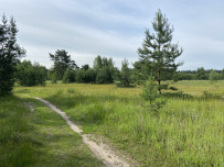 Поход на сапах по реке Нерская с ночевкой в палатках