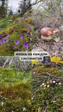 Скальные озера