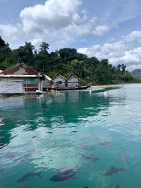 Тропические истории: активный мультитур по южному Таиланду