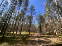 Пеший поход в Каннельярви