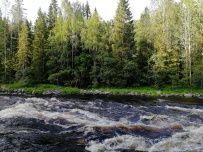 Сплав по реке Янисйоки