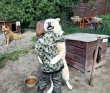 Сплав по реке Шуя