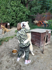 Сплав по реке Шуя