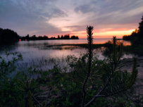 Сплав по реке Шуя