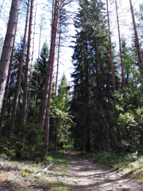Пеший поход в Каннельярви