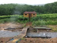 Вулканы и горячие источники: природный парк Налычево