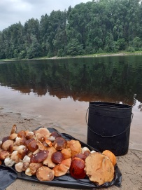Сплав по реке Шуя