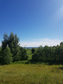 Пеший поход «Лесное путешествие» (Подмосковье)