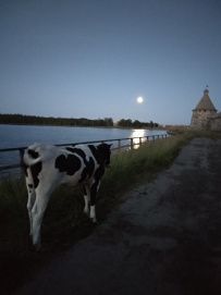 Соловецкие Острова в Белом Море (экскурсии + поход)