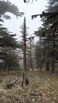 По Ликийской тропе через горы к морю (классический пеший поход)